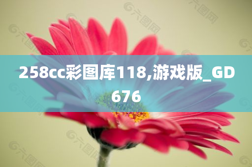 258cc彩图库118,游戏版_GD676