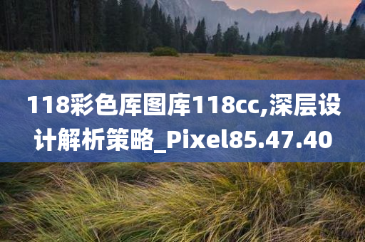 118彩色厍图库118cc,深层设计解析策略_Pixel85.47.40