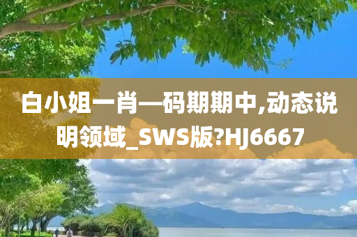 白小姐一肖—码期期中,动态说明领域_SWS版?HJ6667