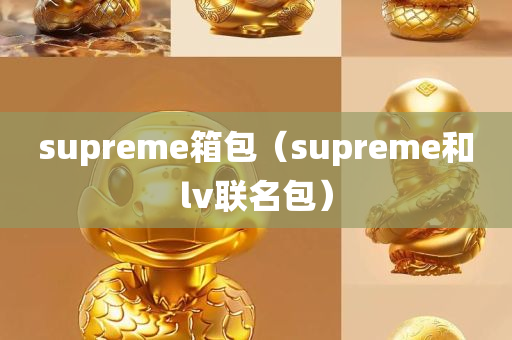 supreme箱包（supreme和lv联名包）