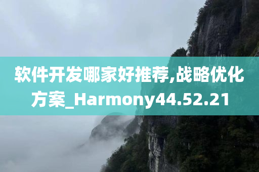 软件开发哪家好推荐,战略优化方案_Harmony44.52.21