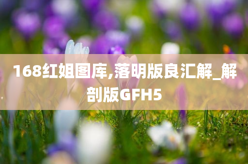 168红姐图库,落明版良汇解_解剖版GFH5