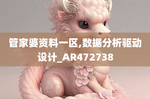 管家婆资料一区,数据分析驱动设计_AR472738