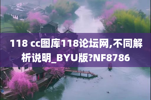 118 cc图库118论坛网,不同解析说明_BYU版?NF8786