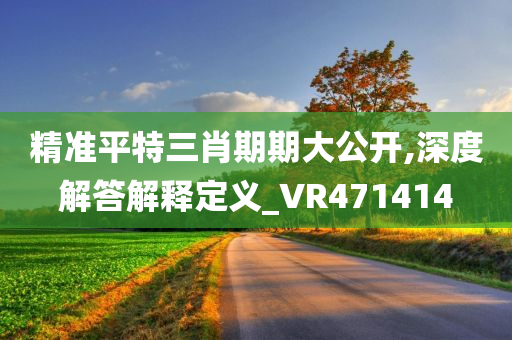 精准平特三肖期期大公开,深度解答解释定义_VR471414