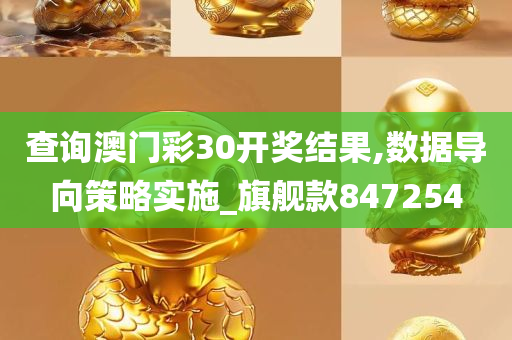 查询澳门彩30开奖结果,数据导向策略实施_旗舰款847254