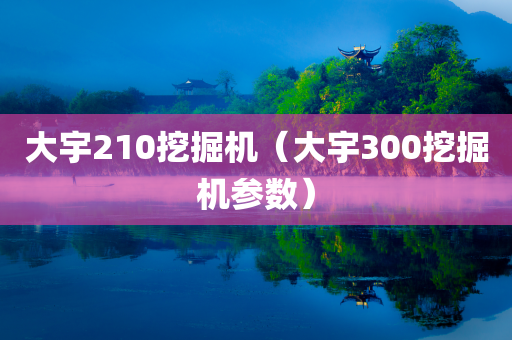 大宇210挖掘机（大宇300挖掘机参数）