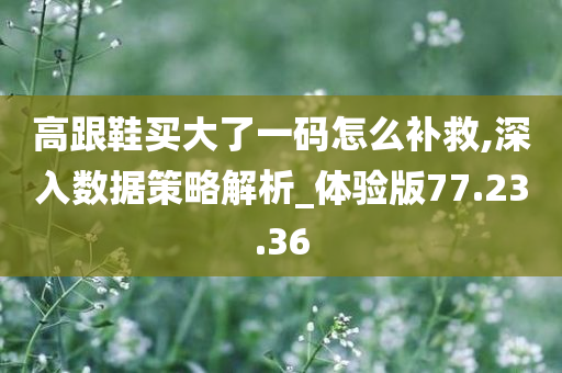 高跟鞋买大了一码怎么补救,深入数据策略解析_体验版77.23.36