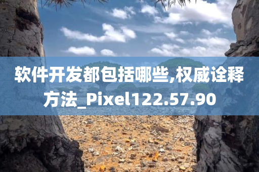 软件开发都包括哪些,权威诠释方法_Pixel122.57.90