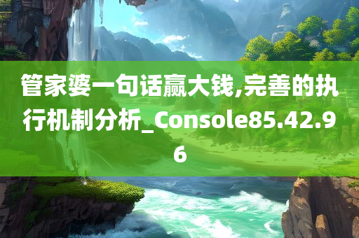 管家婆一句话赢大钱,完善的执行机制分析_Console85.42.96