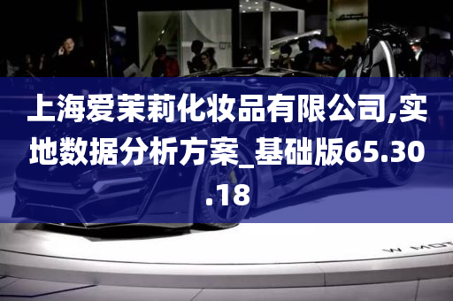 上海爱茉莉化妆品有限公司,实地数据分析方案_基础版65.30.18