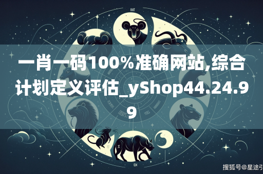 一肖一码100%准确网站,综合计划定义评估_yShop44.24.99