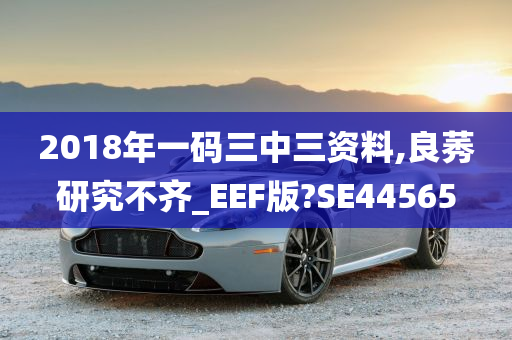 2018年一码三中三资料,良莠研究不齐_EEF版?SE44565