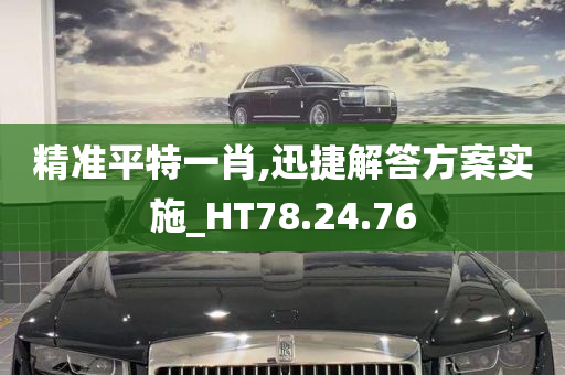 精准平特一肖,迅捷解答方案实施_HT78.24.76