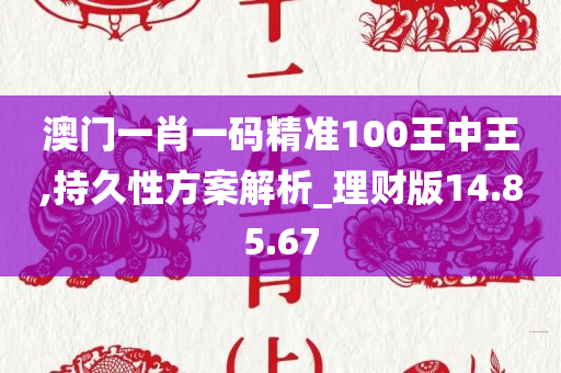 澳门一肖一码精准100王中王,持久性方案解析_理财版14.85.67