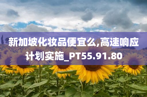 新加坡化妆品便宜么,高速响应计划实施_PT55.91.80