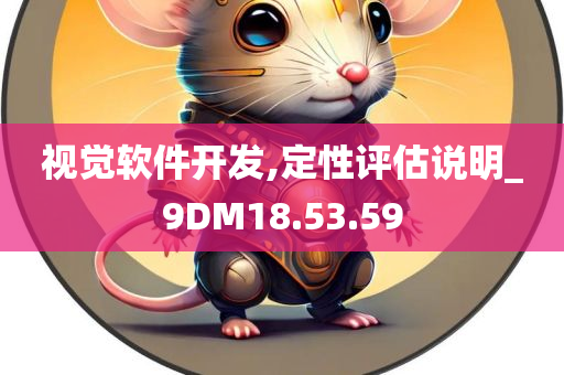 视觉软件开发,定性评估说明_9DM18.53.59