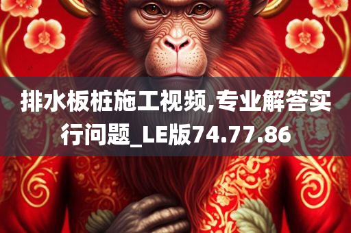 排水板桩施工视频,专业解答实行问题_LE版74.77.86