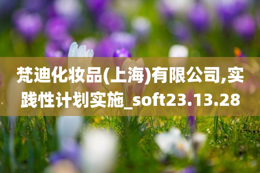 梵迪化妆品(上海)有限公司,实践性计划实施_soft23.13.28