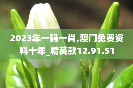 2023年一码一肖,澳门免费资料十年_精英款12.91.51