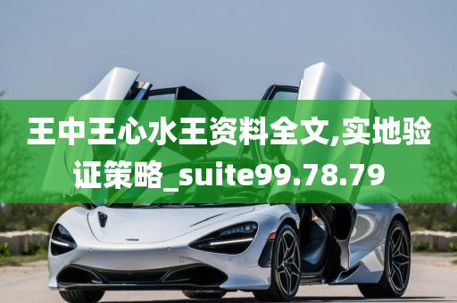 王中王心水王资料全文,实地验证策略_suite99.78.79