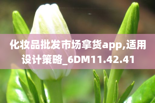 化妆品批发市场拿货app,适用设计策略_6DM11.42.41