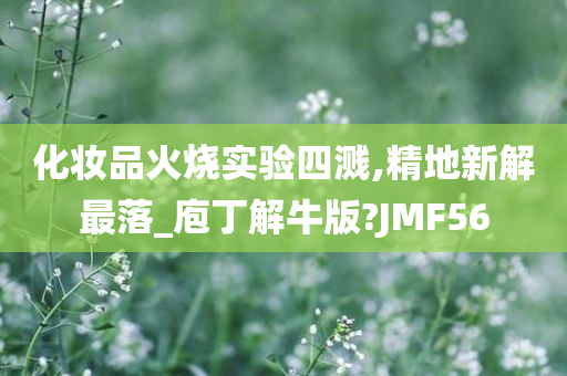 化妆品火烧实验四溅,精地新解最落_庖丁解牛版?JMF56