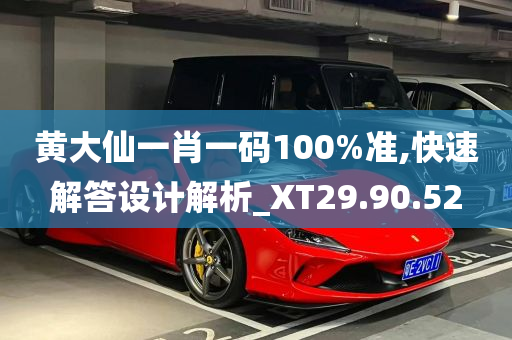 黄大仙一肖一码100%准,快速解答设计解析_XT29.90.52