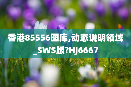 香港85556图库,动态说明领域_SWS版?HJ6667