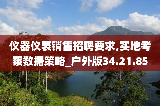 仪器仪表销售招聘要求,实地考察数据策略_户外版34.21.85