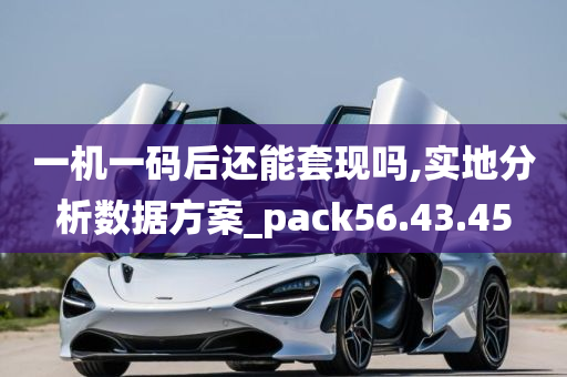 一机一码后还能套现吗,实地分析数据方案_pack56.43.45