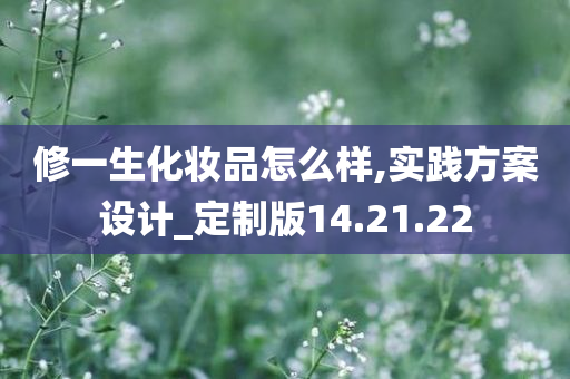 修一生化妆品怎么样,实践方案设计_定制版14.21.22