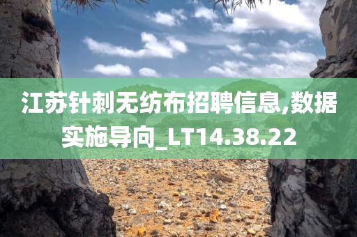 江苏针刺无纺布招聘信息,数据实施导向_LT14.38.22