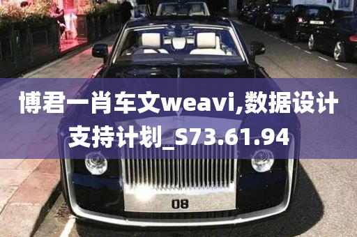 博君一肖车文weavi,数据设计支持计划_S73.61.94