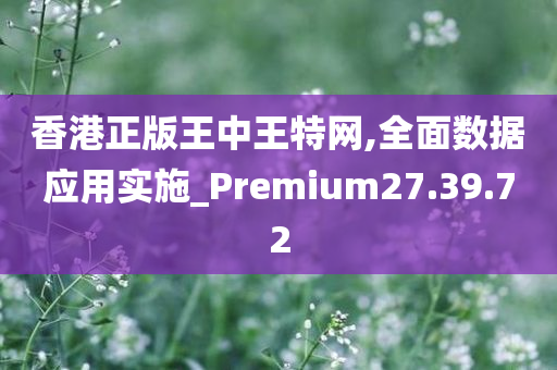 香港正版王中王特网,全面数据应用实施_Premium27.39.72