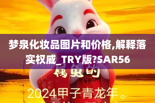 梦泉化妆品图片和价格,解释落实权威_TRY版?SAR56