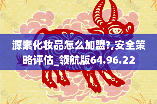 源素化妆品怎么加盟?,安全策略评估_领航版64.96.22