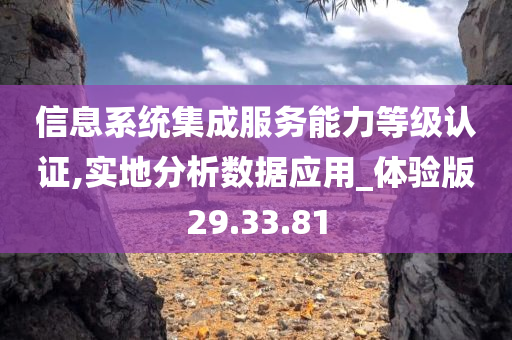 信息系统集成服务能力等级认证,实地分析数据应用_体验版29.33.81