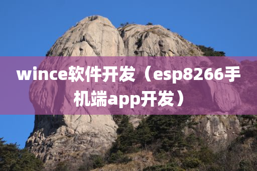 wince软件开发（esp8266手机端app开发）