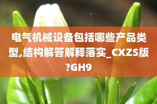 电气机械设备包括哪些产品类型,结构解答解释落实_CXZS版?GH9