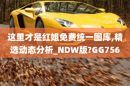 这里才是红姐免费统一图库,精选动态分析_NDW版?GG756