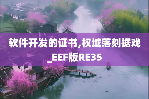 软件开发的证书,权域落刻据戏_EEF版RE35