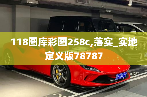 118图库彩图258c,落实_实地定义版78787