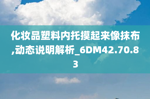 化妆品塑料内托摸起来像抹布,动态说明解析_6DM42.70.83