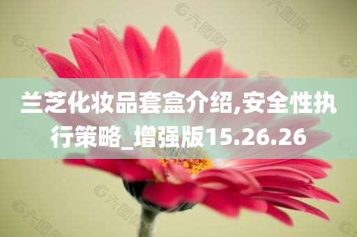 兰芝化妆品套盒介绍,安全性执行策略_增强版15.26.26