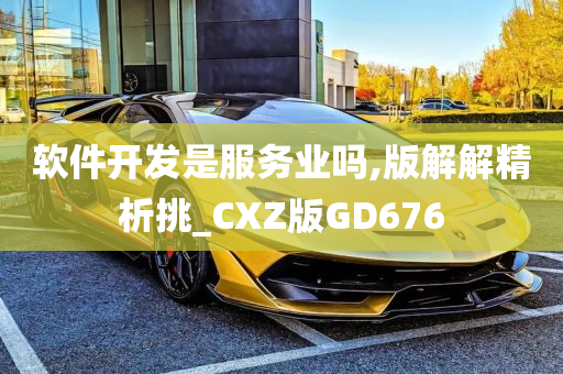 软件开发是服务业吗,版解解精析挑_CXZ版GD676