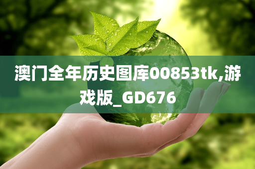 澳门全年历史图库00853tk,游戏版_GD676