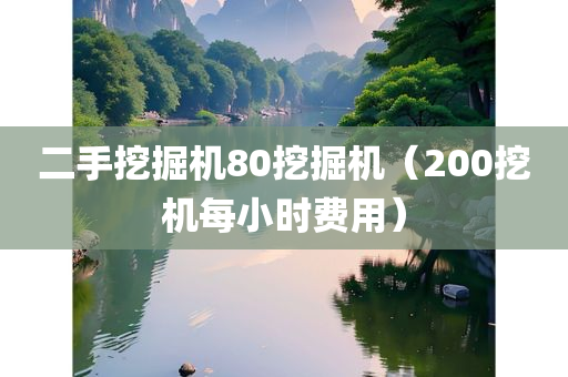 二手挖掘机80挖掘机（200挖机每小时费用）