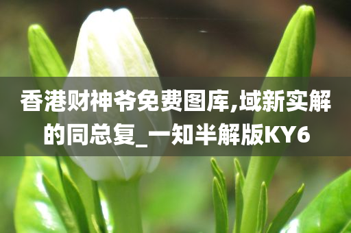 香港财神爷免费图库,域新实解的同总复_一知半解版KY6