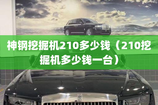 神钢挖掘机210多少钱（210挖掘机多少钱一台）